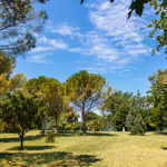 Mediterranean park of the SRC Debeli rtič