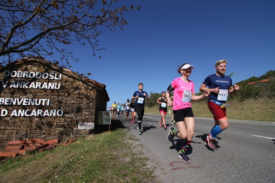 Istrski maraton, foto: Društvo Istrski maraton