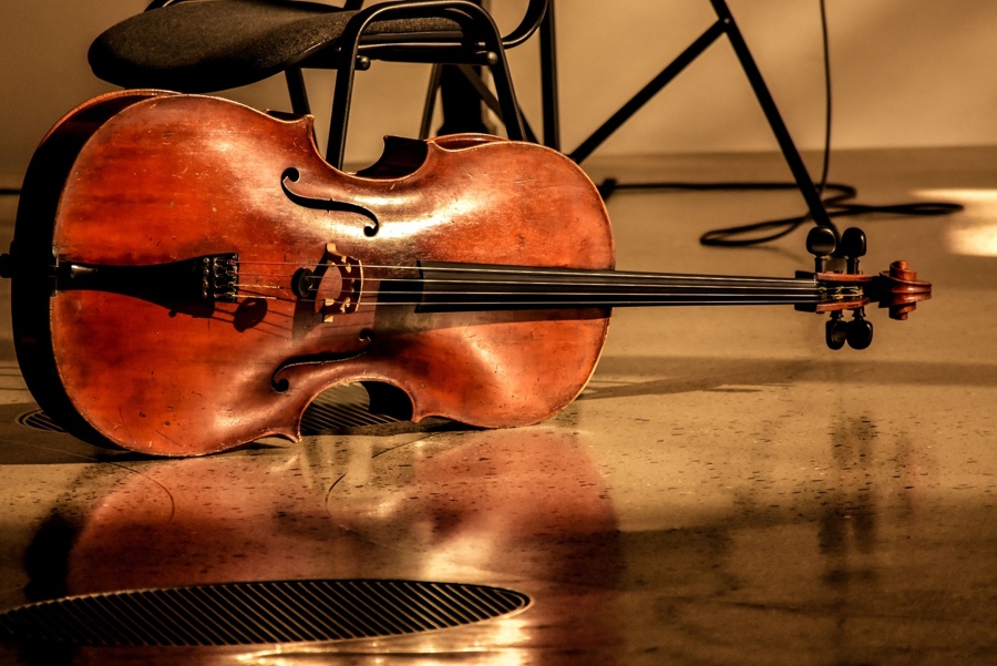 violina