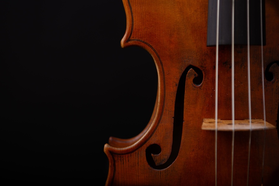 Violina